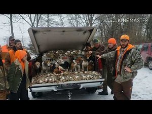 Rabbit Hunting Feb 9&10, 2019 - 120 rabbits in 2 days