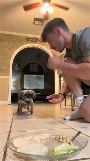 Most Intelligent Dog of 2024 😍 Rock Paper Scissors with Bella 😎 I think I lost #dog #doglover | Di1raa.s
