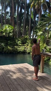 47K views · 2.6K reactions | Why not do my service and remove an invasive species while visiting @villa_turqueza 練 | Spidey24 | Facebook