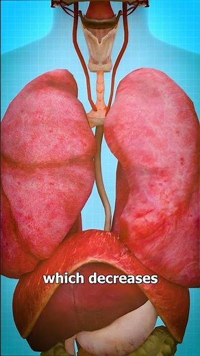 How An EpiPen Works 💉