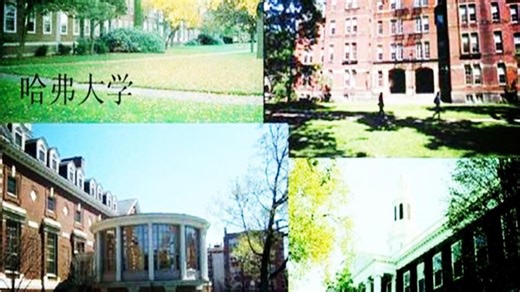 【160集全 数学英语一起学】英文版 中小学数学集锦