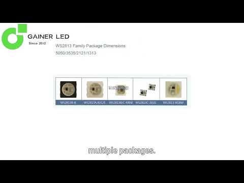 Worldsemi Pixel LED IC Chips | WS2812B WS2811 WS2815 Full Series Introduction
