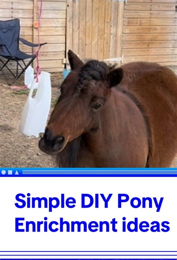 DIY PONY ENRICHMENT IDEAS - Simple, make at home, horse enrichment. You need: Bailing twine. A clean empty milk carton. Scissors. Treats your pony enjoys -for example pony nuts, balancer, mint, garlic, a mixture of their favourite treats. Using the scissors, carefully cut some holes big enough so your selected treat will fall out, but not too big that they don’t stay in. Tie the bailing twine to the handle, hang from a safe place. Start with bigger holes until your pony gets the idea, then you c
