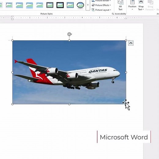 Microsoft Word Adding Pictures from Web