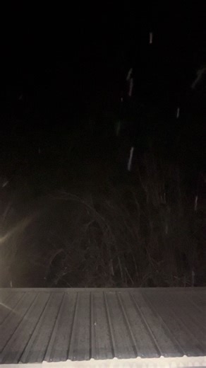 Snowing at my house ❄️ #alabama #fyp #f #snow #fy