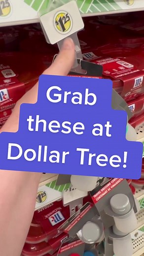 My best Dollar Tree Travel Hack! ☀️ #dollartree #dollartreehack #dollartreefinds #dollartreehacks #travelhacks #travelhack #ItsGreatOutdoors