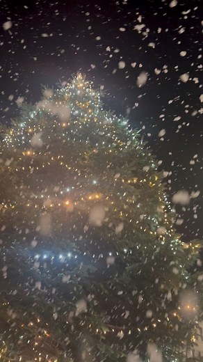 ❤️❤️❤️ COVERED IN SNOW! Love this! Honestly, it’s so wholesome seeing the youngsters so full of joy. This is exactly what Christmas is all about! #christmas #lightsswitchon #dundee | Dundee Culture