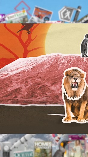 Make them the expert with an annual subscription to BBC Wildlife Magazine, the perfect present for wildlife enthusiasts. Every issue packed with inspiring features and photography. | BBC Wildlife Magazine