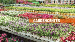 Today is the day for doing. We have everything you need to get digging. | The Home Depot