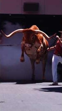 Discipline Kya Hai? 🤫 Success Ka Sabse Bada Raaz! #short #movtivation #dicipline