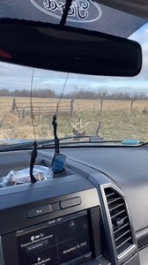 Im hunting from the truck this season! | DeerHunter