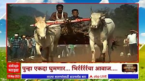 Bailgada Sharyat : राज्यात पुन्हा एकदा भिर्रर्रर्रर्र.... राजकीय नेते म्हणतात...