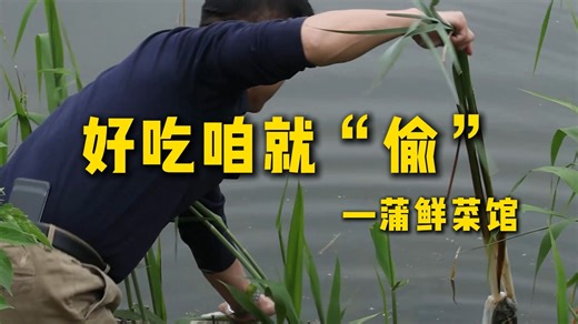 特厨探店|来淮安物理意义上的"偷"菜—蒲鲜菜馆