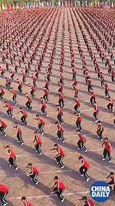 Strength, discipline and focus — is Shaolin kung fu the best martial arts in the world? What do you think? #ChinaStory #kungfu | China Daily