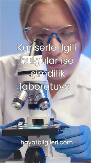 Çörek Otu Yağı Hakkında Bilim Ne Söylüyor?