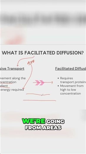 Facilitated Diffusion: Na and Cl's Epic Journey Through Cell Membranes #shorts
