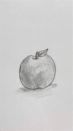 Realistic Apple Drawing with Pencil ✏️| Easy Shading #shorts #appledrawing #realisticdrawing