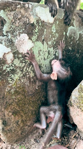 Mom! Help me up! ✨💫