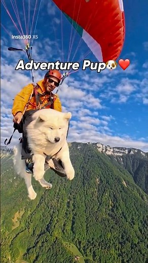 Just another day at the office for this co-pilot 🐶🪂 | Insta360 X5