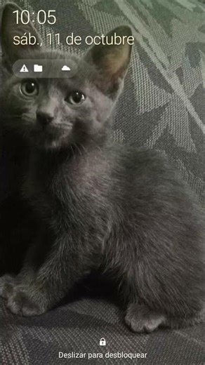 28 de noviembre de 2025