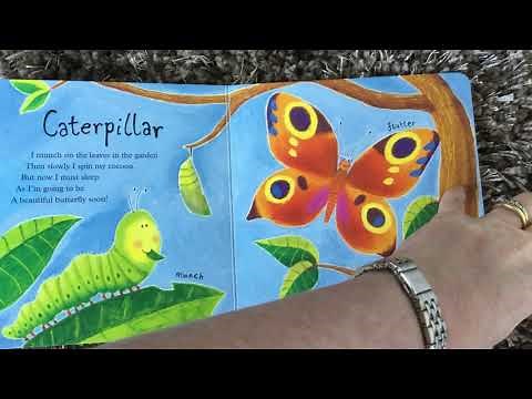 Mad About Minibeasts