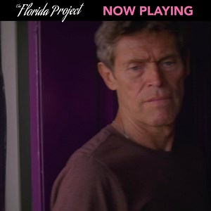 205K views · 532 reactions | Critics are calling The Florida Project "the best movie of the year." Now Playing in Select Theatres! | Elevation Pictures | Facebook