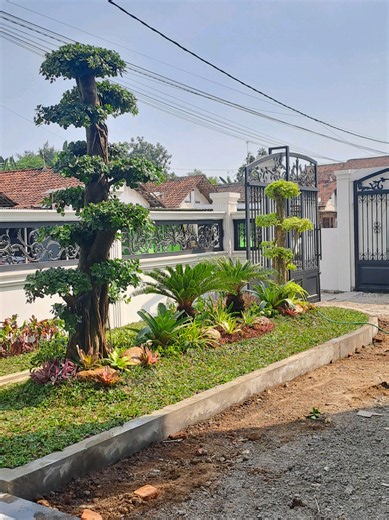 Desain Taman Minimalis Depan Rumah - Proyek Jombang