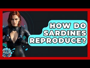 How Do Sardines Reproduce? - The Marine Life Explorer