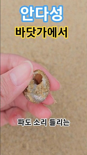 #바닷가에서 안다성#안다성 바닷가에서#추억노래#7080그시절 그 노래#백사장#조개껍질