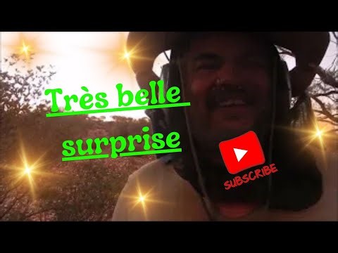 Gold, Or, oui, il y a de l'or ici #detectiondemetaux #or #prospecting