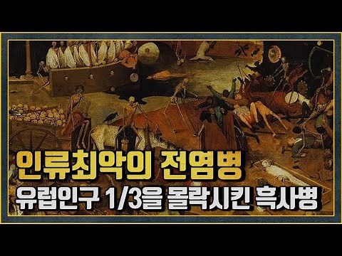 흑사병(페스트) 유럽 중세를 끝장내다. 전염병 역사