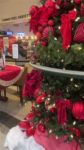 More of that model train around the Christmas tree at Springfield Union Station #koreyexpress2 #fyp #itsmonday #modeltrains #railfan