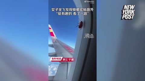 Cockroach hitching ride on plane window amuses passenger: ‘See if it has a ticket’