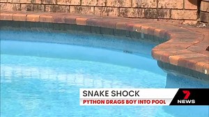 A grandfather's quick thinking has saved a five-year-old boy from a python attack. The snake dragged Beau into a backyard pool. 7NEWS Gold Coast at 5:30pm and 6pm. More local news: 7news.com.au/news/gold-coast #7NEWS | 7NEWS Gold Coast