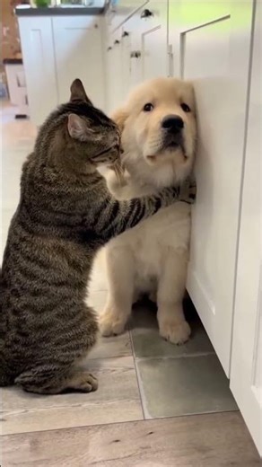 fun #doglovers