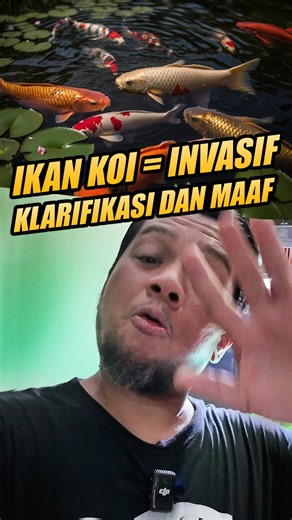 BIG FISH eat little fish on Instagram: "Mustinya sih ini tugas @kkpgoid ya kasih edukasi basic gini, kenapa jadi gw yang inisiatif bikin yak 😅. #predatorfish #predatorfishkeepers #ikanhiasindonesia #ikanpredatorindonesia #ikanpredator"