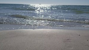 1.7K views · 114 reactions | This moment brought to you by a perfect Spring beach day in the Bradenton area!  | Visit Bradenton Gulf Islands | Facebook