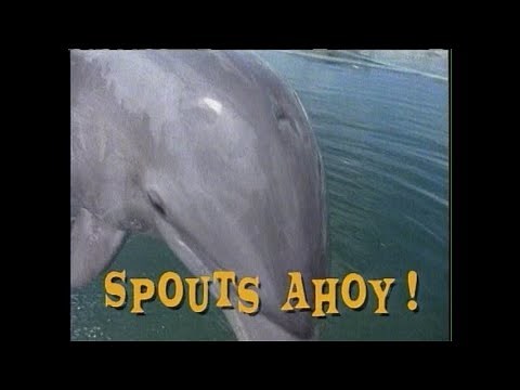 Growing Up Wild: Spouts Ahoy!