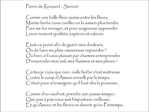 Ronsard (Pierre de) : SONNET - Comme une belle fleur assise entre les fleurs,