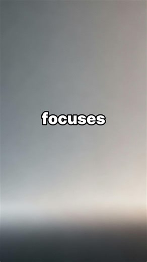 What price signals actually do