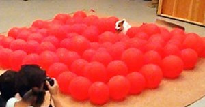 Happiest Dog In The World Pops 100 Balloons, Breaks Guinness World Record