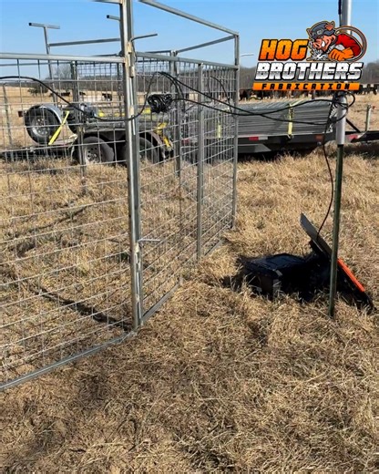 NEW TRAP SETUP — BUILT TO CATCH BIG 🐗💪 Fresh install and this rig is ready to go to work. Heavy-duty fully galvanized panels, smooth drop gate action, reinforced framing, and designed to safely hold entire sounders — not just one or two pigs. This is real hog control built for real landowners. 🔥 Nationwide delivery Pro setup available 👉 Order yours at HogBrother.com #HogTrap #WildHogs #TexasRanch #FarmLife #LandManagement #HogControl #PestControl #RanchingLife #TrapLife #BuiltTough #HogBroth