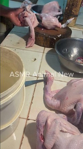 How to Clean Chicken Properly Before Cooking 🐔✨ | #Shorts Part 4