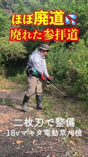 18v電動草刈機で参拝道の整備 #草刈り #マキタ