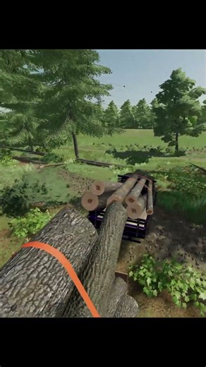 wheelie annoying load of wood #FS22 #farmingsimulator22 #FS22Fails #funnygamingmoments