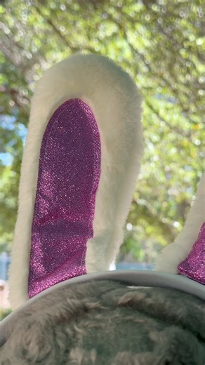 56K views · 450 reactions | Are you ready for a WILDLY egg-celent adventure at San Antonio Zoo? Cowboy the Easter Rhino Certainly is! Hop over to Go Wild! on March 31 for egg-citing egg hunts, fun crafts, interactive animal encounters, a photo-op with the easter bunny, and more! Visit our website for full details! 憐 | San Antonio Zoo | Facebook