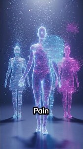 The 2 Sides of Your Brain — Psychology Explained