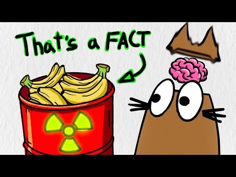 These 25 facts will SURPRISE you - Test yourself and boost your brain!