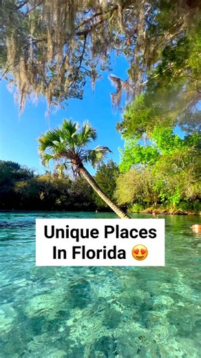 Victoria + Terrence on Instagram: "Have you heard of these places in Florida?!! So many people don’t know that we have actual caverns, all inclusive resorts, and pristine springs! Florida Cavern State Park is a true hidden gem, Bungalows Key Largo is a bucket list experience, and well, Silver Glen is one of the best springs in Florida!! You have no idea how many hidden gems are in Florida 😍 Comment ‘MAP’ and I’ll show you where to find them with my interactive map! Have you visited any of these