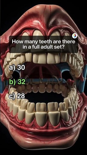 Anatomy Quiz Challenge | Test Your Human Body Knowledge